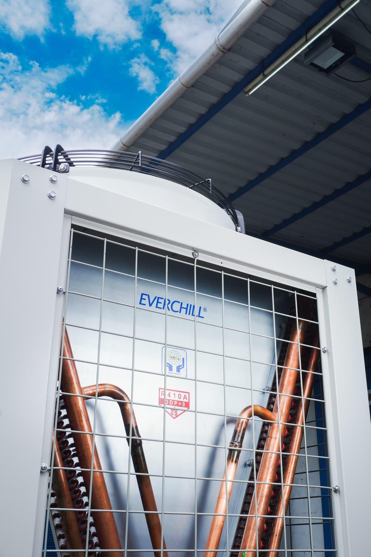 Professional Industrial Chiller